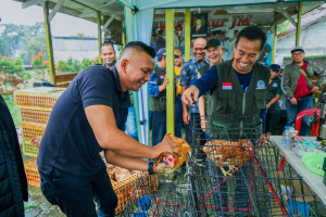 Dorong Ekonomi Warga, Wawalkot Bogor Bagi 80 Ayam Petelur ke LPM Bogor Utara
