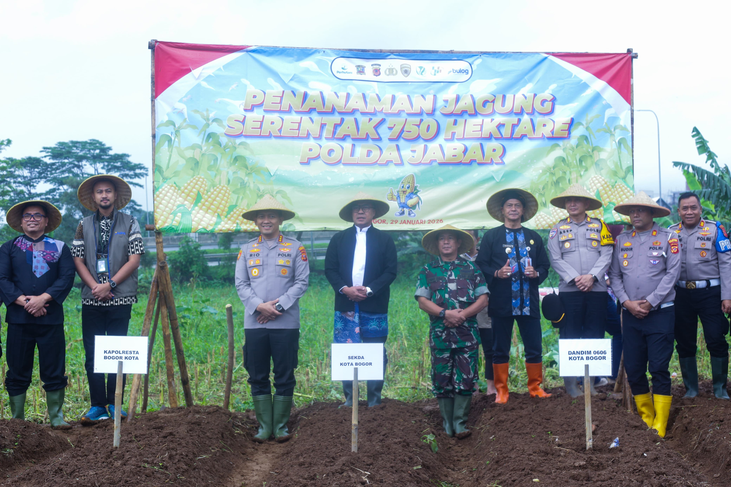 Pemkot Bogor Dukung Ketahanan Pangan Nasional, Tanam Jagung Serentak Bersama Polda Jabar