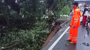 Hujan Deras Picu 17 Bencana di Kota Bogor, Longsor Dominan dan Satu Warga Meninggal