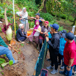 Bunga Bangkai Raksasa Mekar di Kebun Raya Bogor, Warga Rela Antre Panjang
